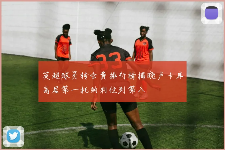 英超球员转会费排行榜揭晓卢卡库高居第一托纳利位列第八